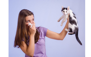 Почему развивается аллергия