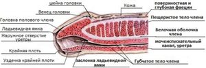 Инфекционные причины